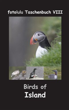 Birds of Island (eBook, ePUB) - fotolulu
