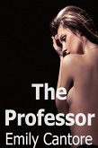 The Professor (eBook, ePUB)