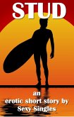 Stud (eBook, ePUB)