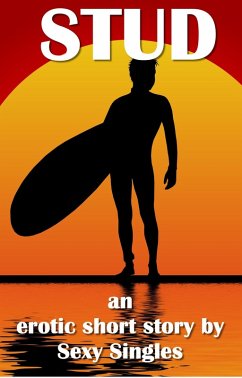 Cover Stud (eBook, ePUB)