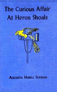 The Curious Affair at Heron Shoals (eBook, ePUB) - Seaman, Augusta Huiell