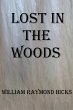 Lost in the Woods (Adventures with Joe,... - Bild 1