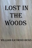 Lost in the Woods (Adventures with Joe, #3) (eBook, ePUB)