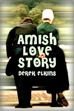 Cover Amish Love Story (eBook, ePUB)
