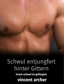 Schwul entjungfert hinter Gittern (eBook, ePUB) Schwul entjungfert hinter Gittern (eBook, ePUB)