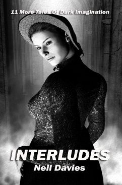 Cover Interludes (eBook, ePUB)