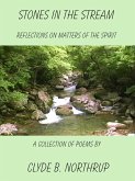 Stones in the Stream: Reflections of Matters of the Spirit (eBook, ePUB)