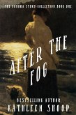 After the Fog (eBook, ePUB)