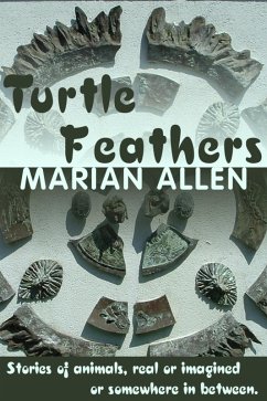 Turtle Feathers (eBook, ePUB) - Allen, Marian