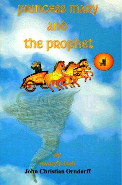 Princess Mary and the Prophet (eBook, ePUB) - Orndorff, John