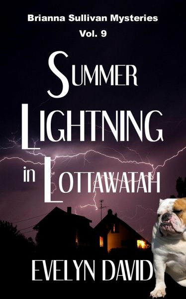 Summer Lightning in Lottawatah (Brianna Sullivan Mysteries, #9) (eBook, ePUB)