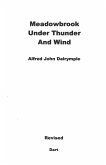 Meadowbrook Under Thunder and Wind (Revised)