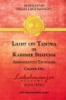 Light on Tantra in Kashmir Shaivism - Bild 1
