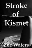 Stroke of Kismet (eBook, ePUB)