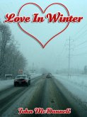 Love In Winter (eBook, ePUB)