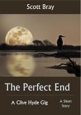 The Perfect End (eBook, ePUB)