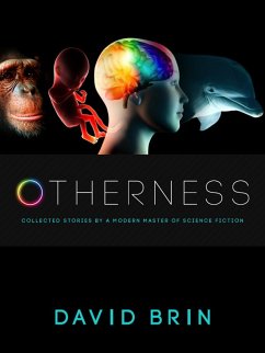 Otherness (eBook, ePUB) - Brin, David