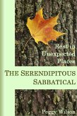 The Serendipitous Sabbatical: Rest in Unexpected Places (eBook, ePUB)