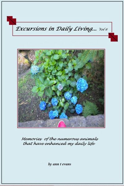 Excursions in Daily Living... Vol 6 (eBook, ePUB) Excursions in Daily Living... Vol 6 (eBook, ePUB)