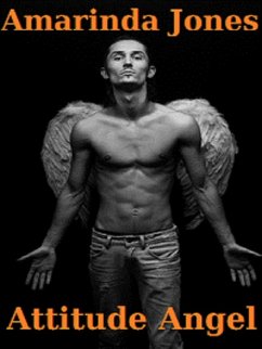 Cover Attitude Angel (eBook, ePUB)
