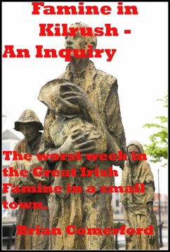 Famine in Kilrush - An Inquiry (eBook, ePUB) - Comerford, Brian