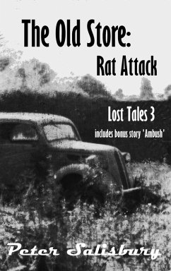 Rat Attack (The Old Store: Lost Tales 3) (eBook, ePUB) - Salisbury, Peter