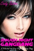 Rough Night Gangbang (eBook, ePUB)