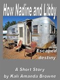 How Nadine and Libby Escaped Destiny (eBook, ePUB) How Nadine and Libby Escaped Destiny (eBook, ePUB)