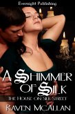 A Shimmer of Silk (eBook, ePUB)