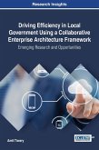 Driving Efficiency in Local Government Using a Collaborative Enterprise Architecture Framework