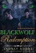 BlackWolf Redemption (eBook, ePUB) - Bild 1