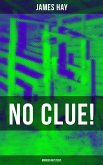 NO CLUE! (Murder Mystery) (eBook, ePUB)