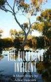 The Billabong Incident (eBook, ePUB) The Billabong Incident (eBook, ePUB)