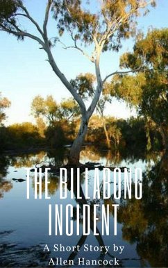 Cover The Billabong Incident (eBook, ePUB)