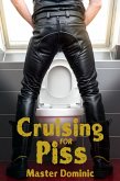 Cruising For Piss (eBook, ePUB)