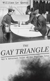 THE GAY TRIANGLE – Spy & Adventure Tales of the Fearless Trio (eBook, ePUB)