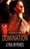 Domination (eBook, ePUB)