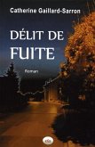 Delit de fuite (eBook, ePUB)