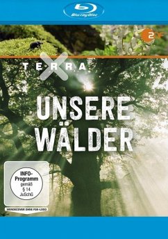 Terra X: Unsere Wälder