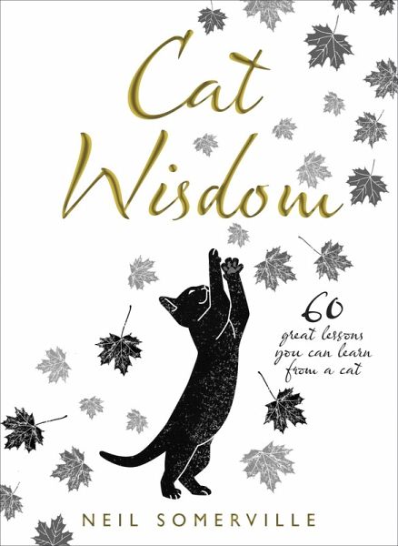 Cat Wisdom (eBook, ePUB)