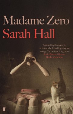 Madame Zero (eBook, ePUB) - Hall, Sarah