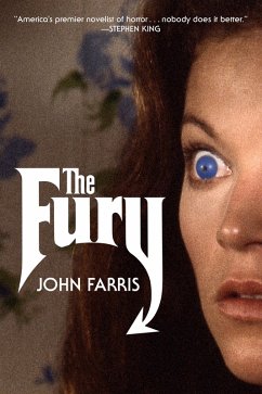Fury (eBook, ePUB) - Farris, John
