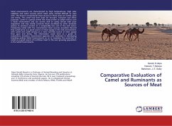Comparative Evaluation of Camel and Ruminants as Sources of Meat