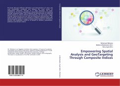 Empowering Spatial Analysis and GeoTargeting Through Composite Indices