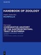 Comparative Anatomy of the... - Bild 1