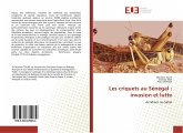 Les criquets au Sénégal : invasion et lutte