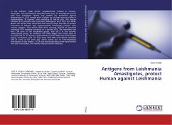 Antigens from Leishmania Amastigotes, protect Human against Leishmania - O'Daly, Jose
