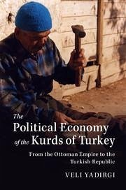 The Political Economy of the Kurds of Turkey - Yadirgi, Veli
