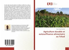 Agriculture durable et autosuffisance alimentaire au Tchad - Toutkoul, Drem-Taing