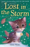 Lost in the Storm (eBook, ePUB)